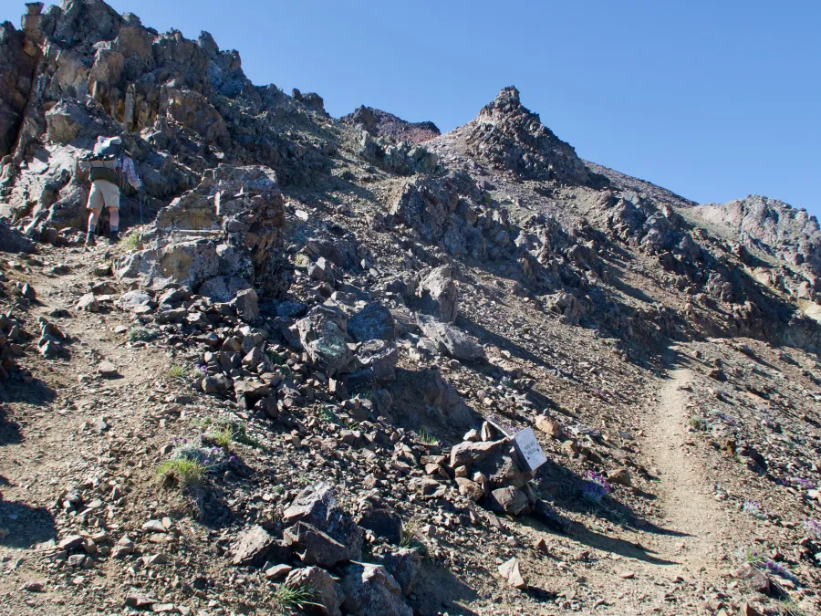 Where the PCT and the alternate up Old Snowy split