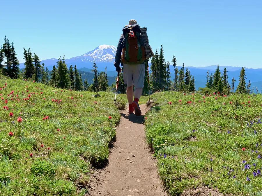 wildflowers in Snowgrass Flats