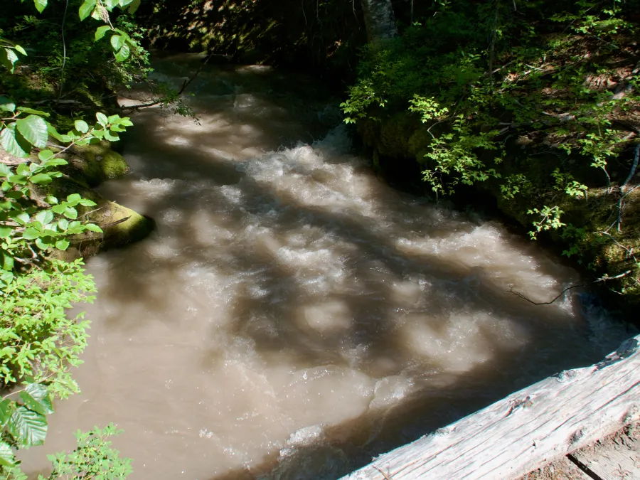 Muddy Fork