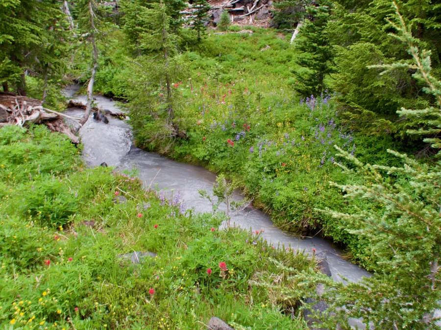 Milky white water