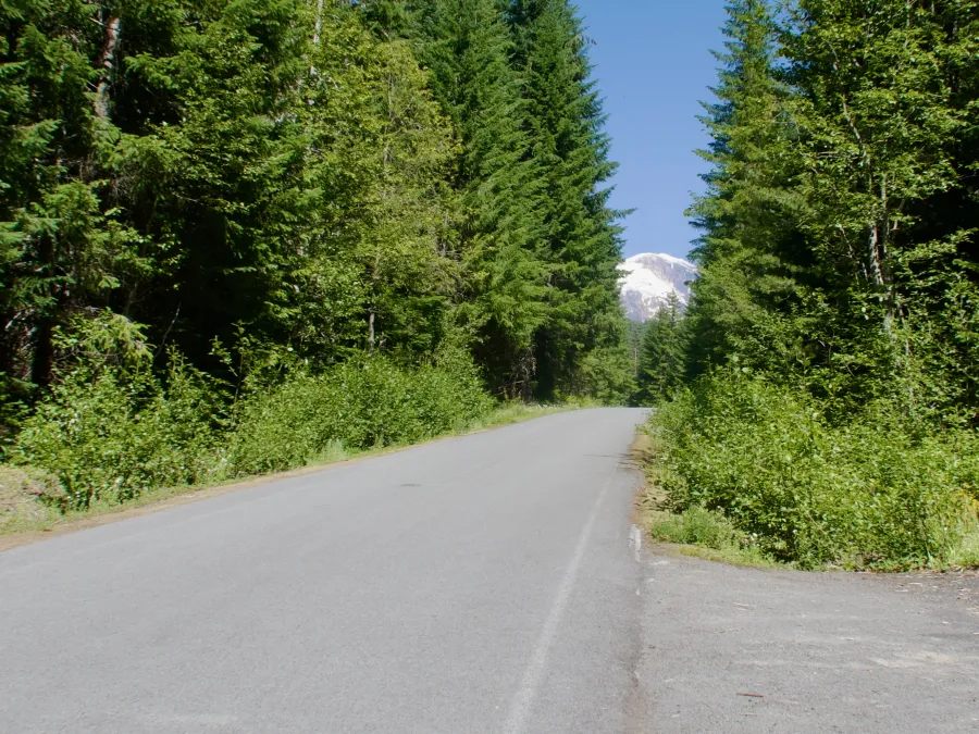 A view of Mt. Adams from the road to Trout Lake