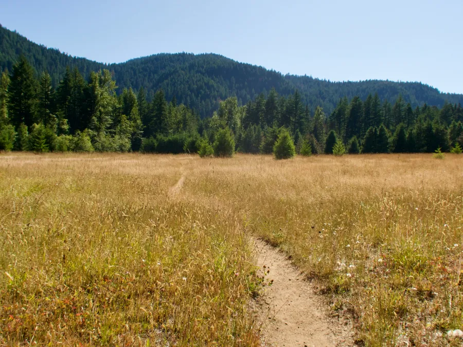A flat, wide meadow near Bunker Hill