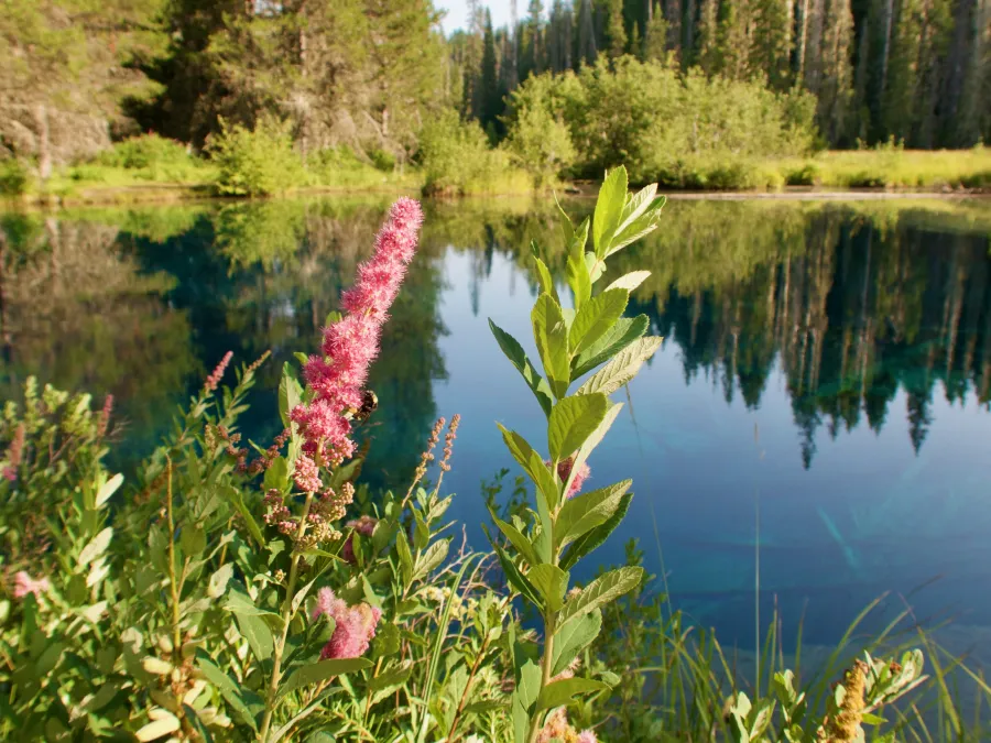 Little Crater Lake