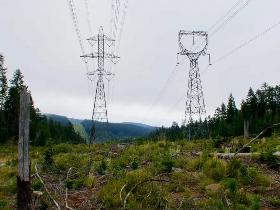 Power line cut