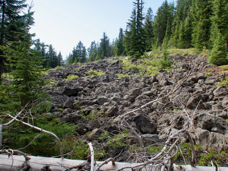 Volcanic rocks