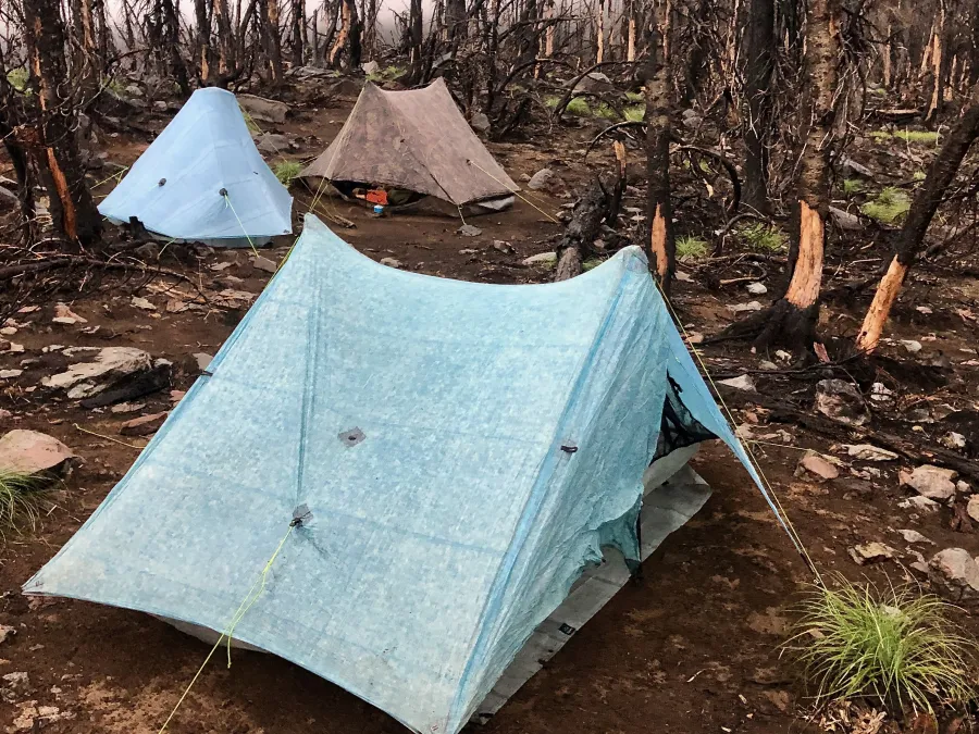 Three tents pitched among burnt trees