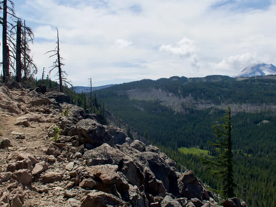 Another view of Mt. Jefferson