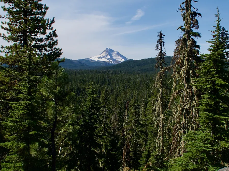 Mt. Jefferson