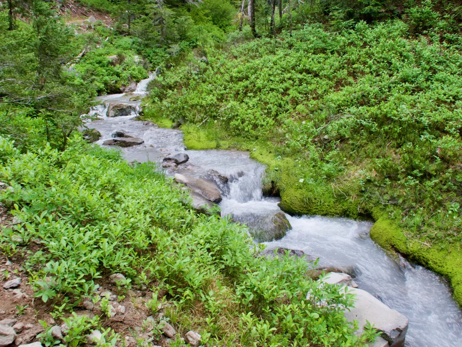 Whitewater Creek