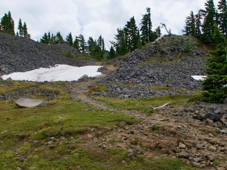 The PCT goes over a small patch of snow