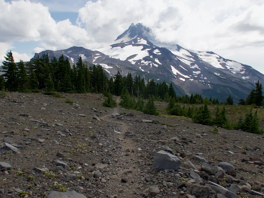 The PCT heading to Mt. Jefferson