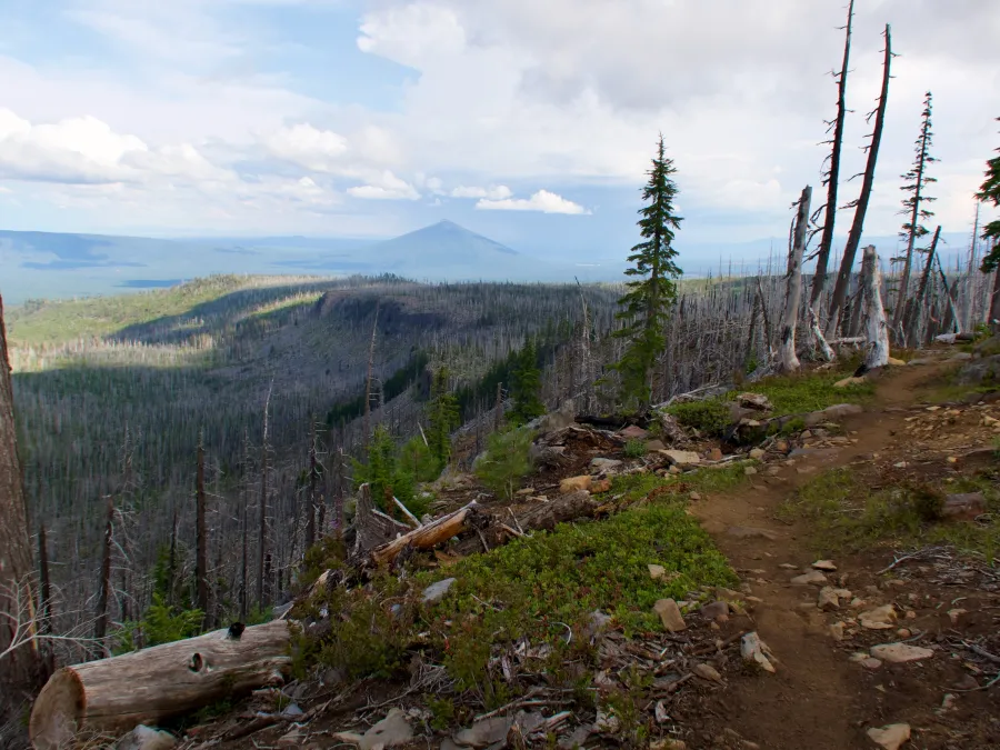 A new section of trail