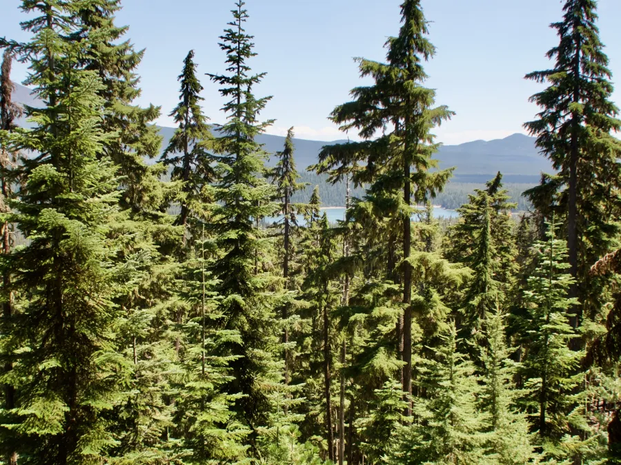 Elk Lake comes into view