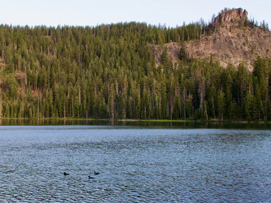 Ducks swimming in Lower Rosary Lake below The Pulpit