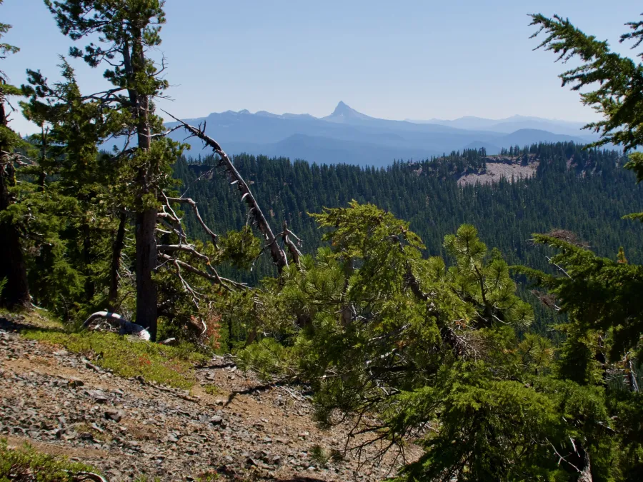 Looking ahead to Mt. Thielsen