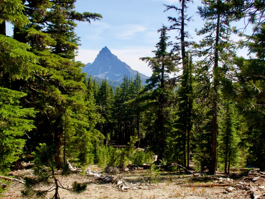 Mt. Thielsen