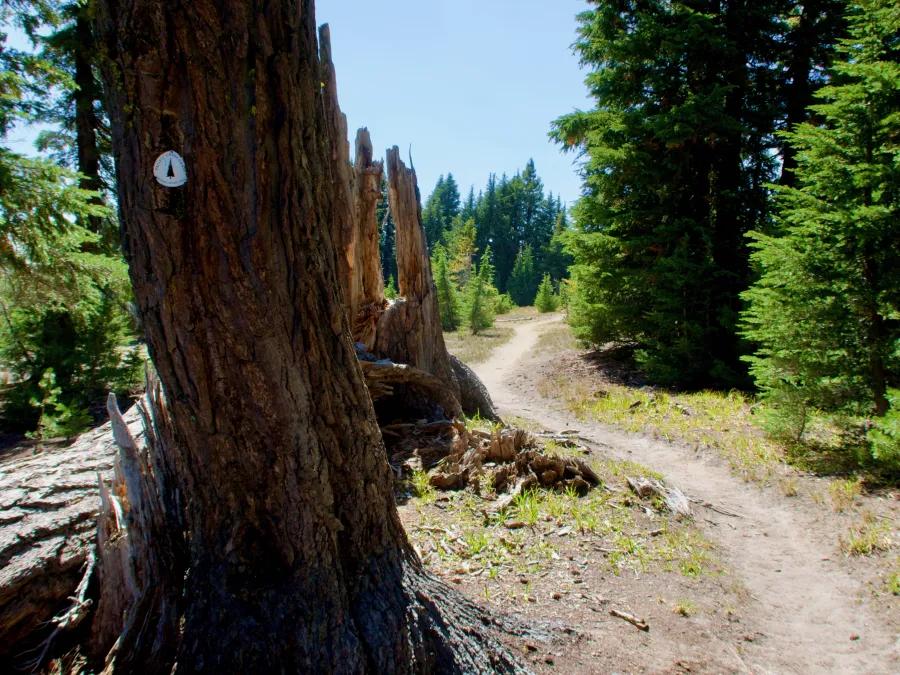 The Pacific Crest Trail in Oregon