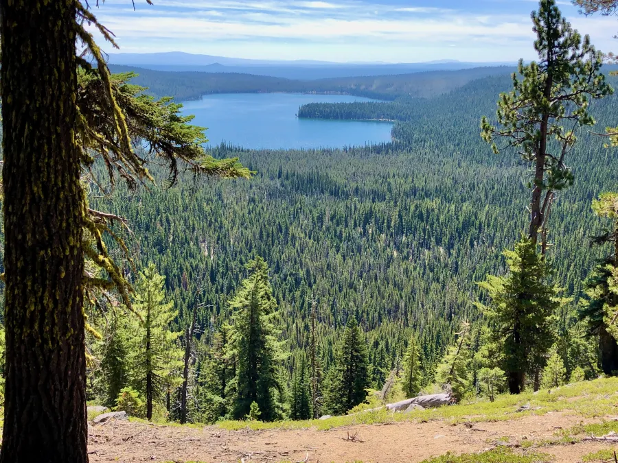 A view of Miller Lake