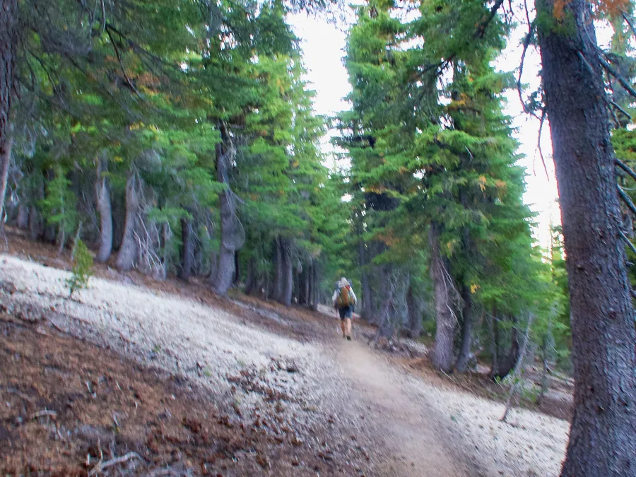 Dave leaves camp