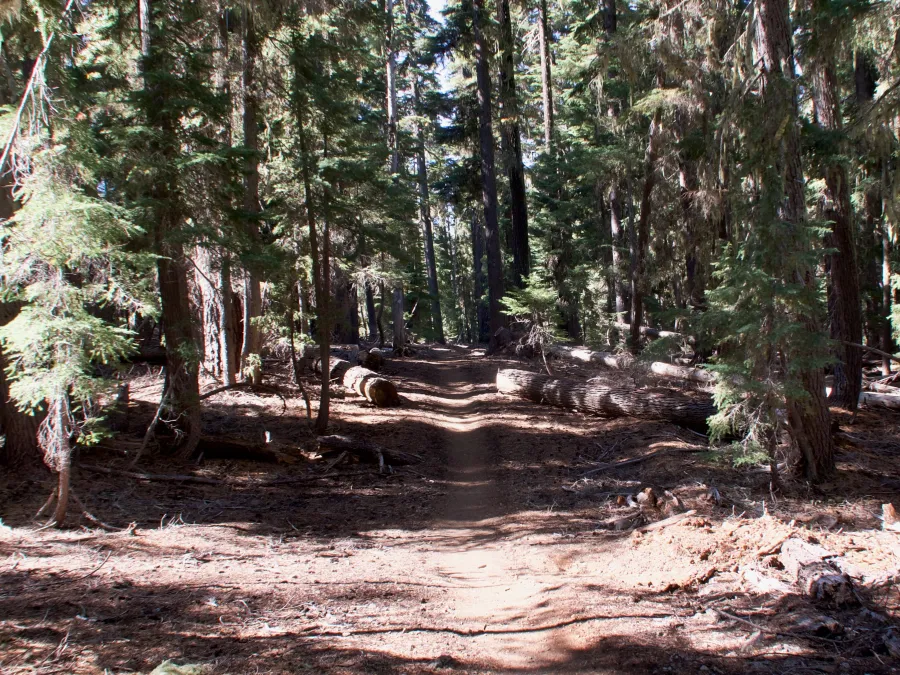 The PCT becomes flat in Crater Lake National Park