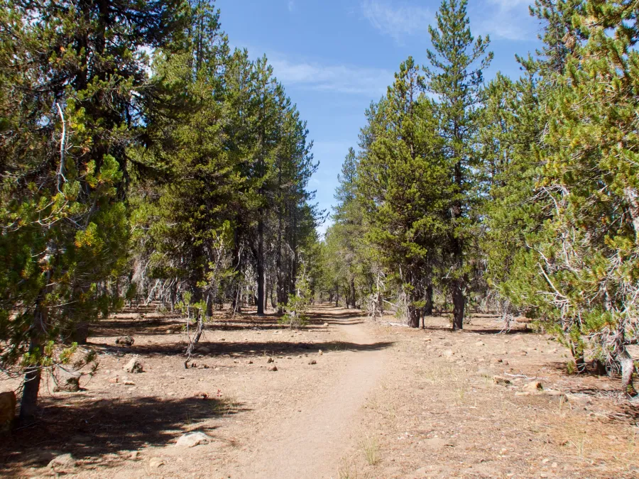 More flat trail on the PCT