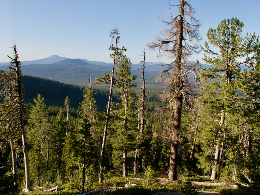 A view of Crater Lake's rim