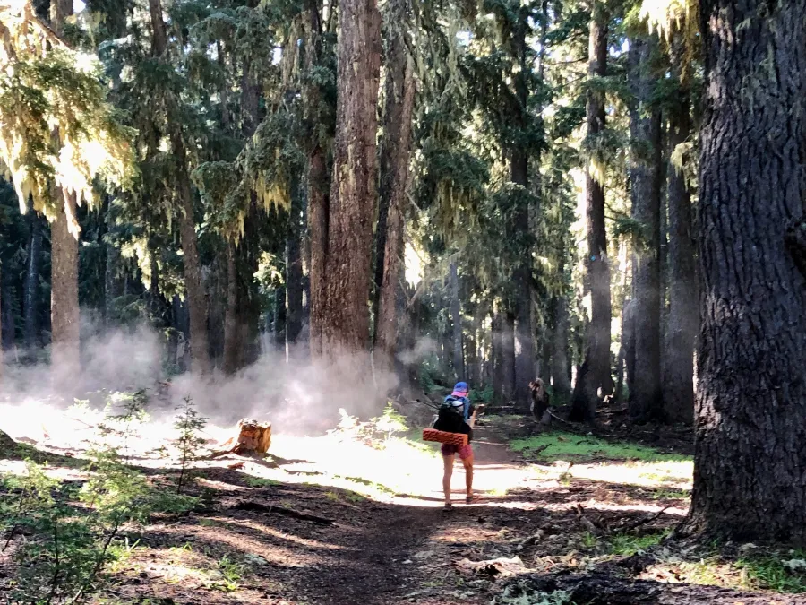 Sunkist on the PCT as sun creates water vapor