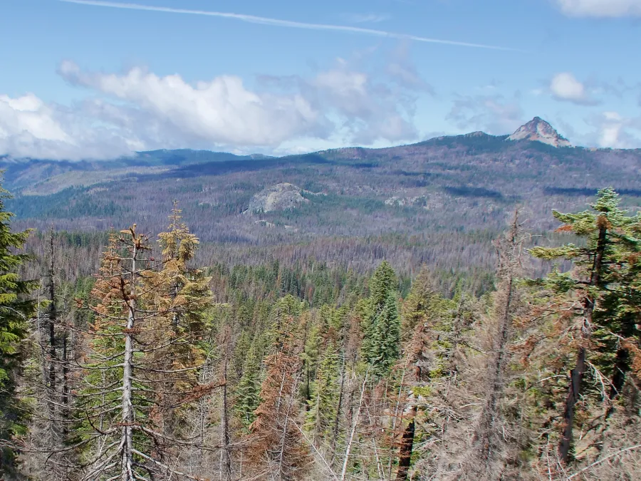 View of Union Peak