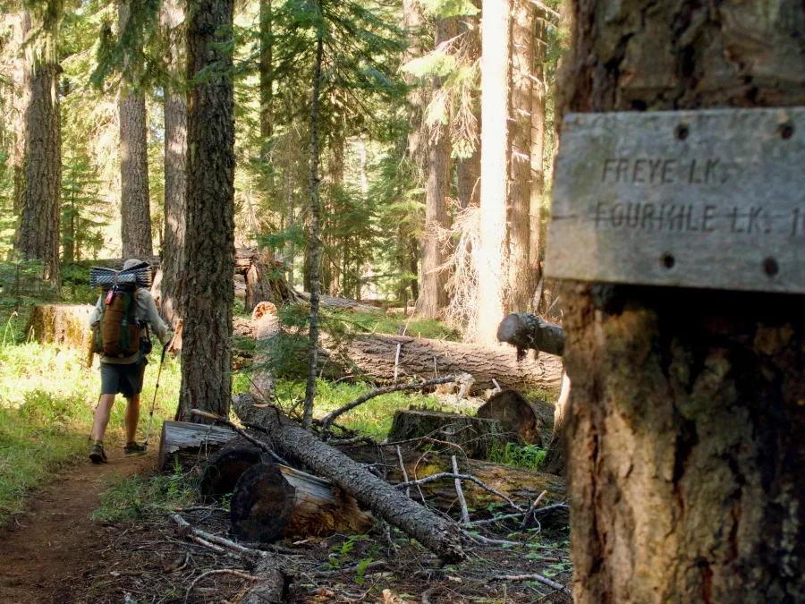 Dave leaves the water source