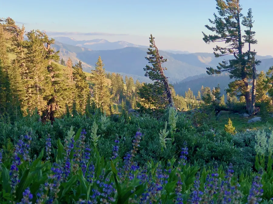 A view from Granite Chief Mountain