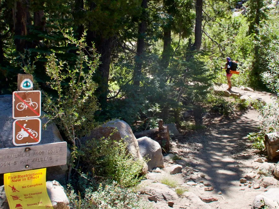 Sunkist on the trail