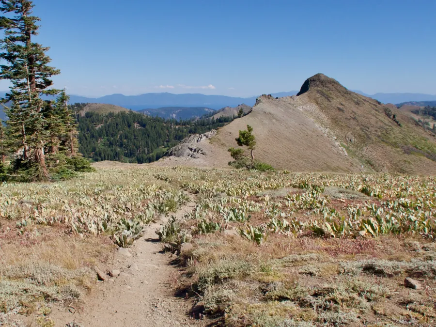 A view from Tinker Knob