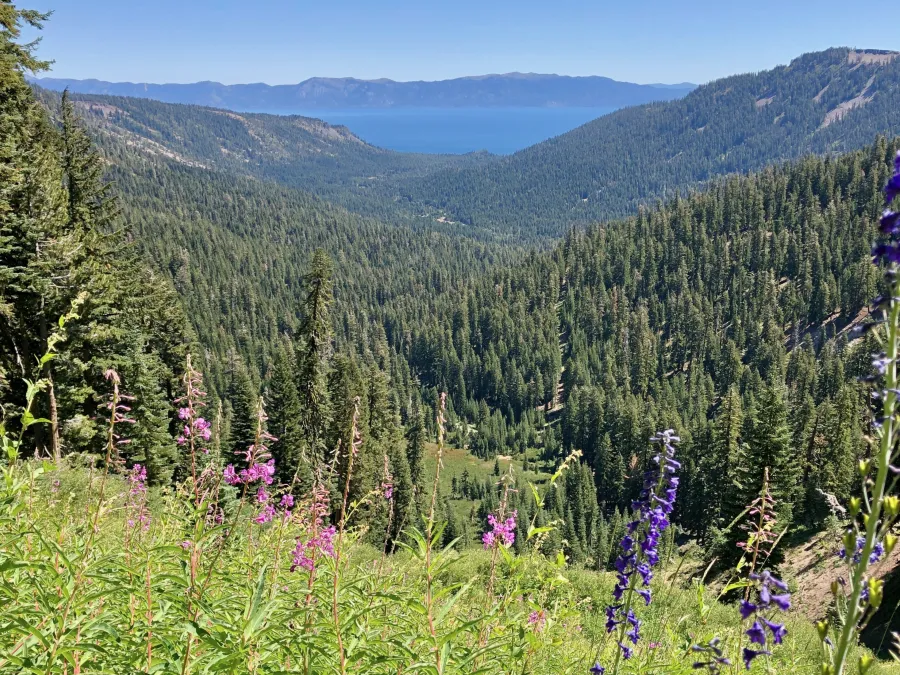 Another view of Lake Tahoe