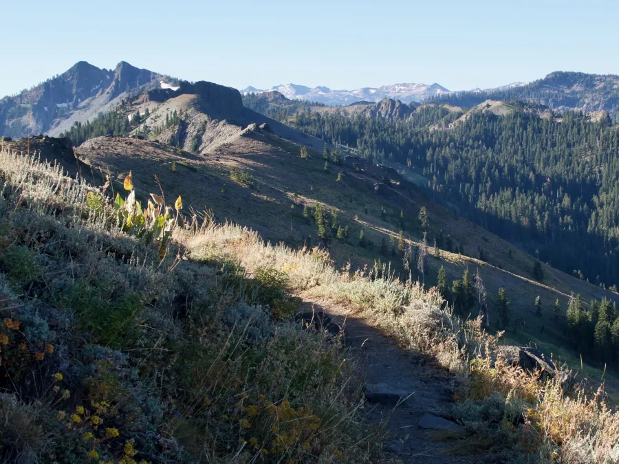 A view of Twin Peaks