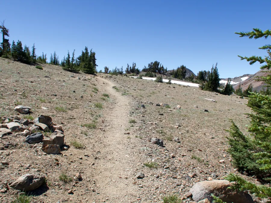 Dick's Pass