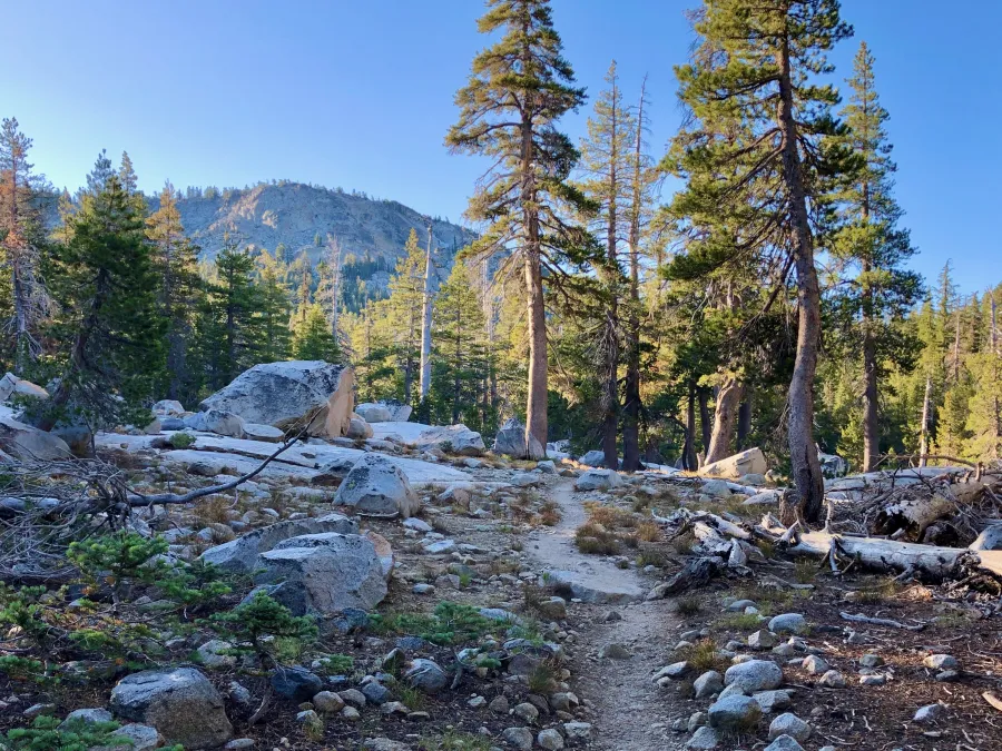 A short climb to start the day