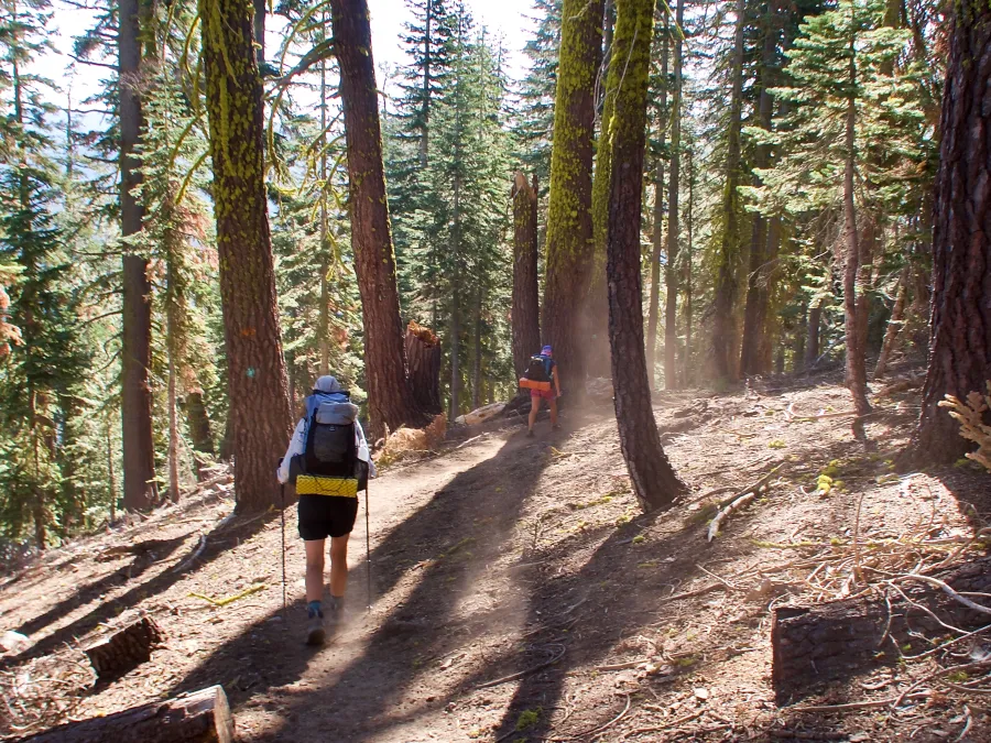 Sunkist and Bluejay on the trail