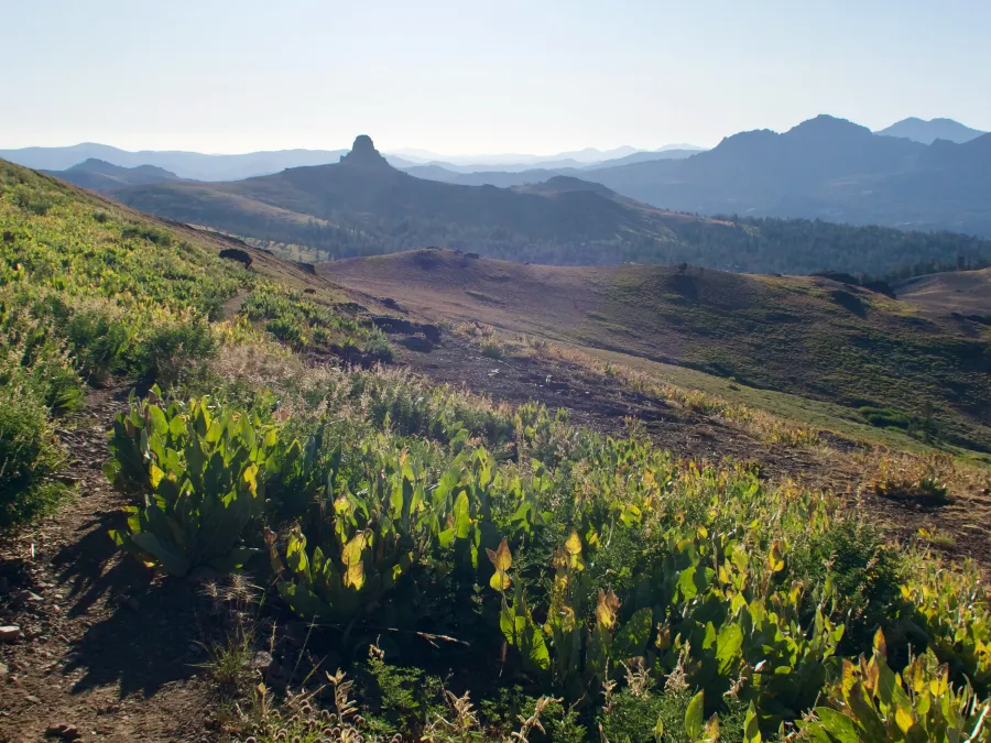 View of Da-ek Dow Go-et Mountain (formerly Jeff Davis Peak)