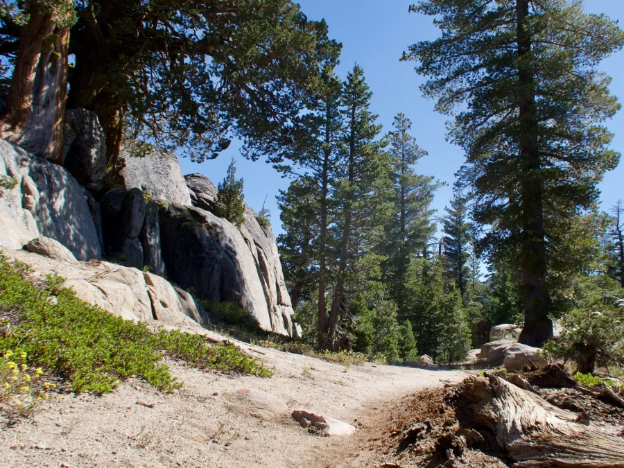 The PCT passes a rock wall