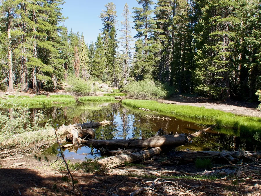 A small pond near the PCT