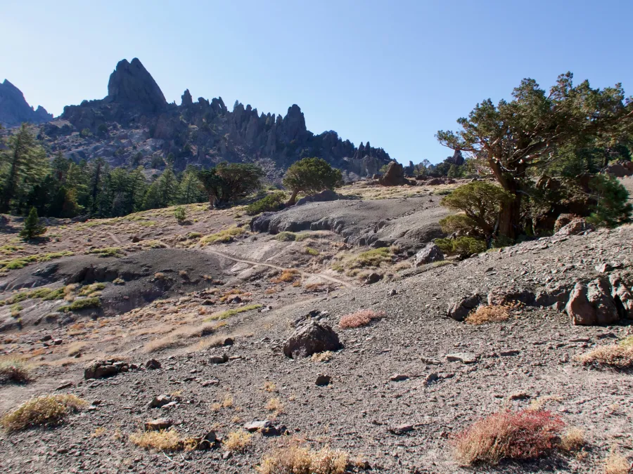 A view of Reynolds Peak