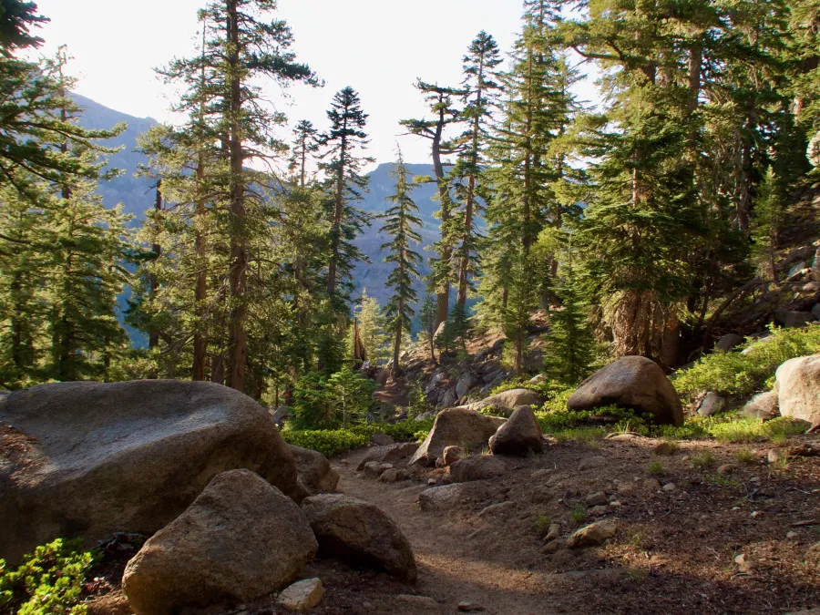 The PCT descends to Highway 4