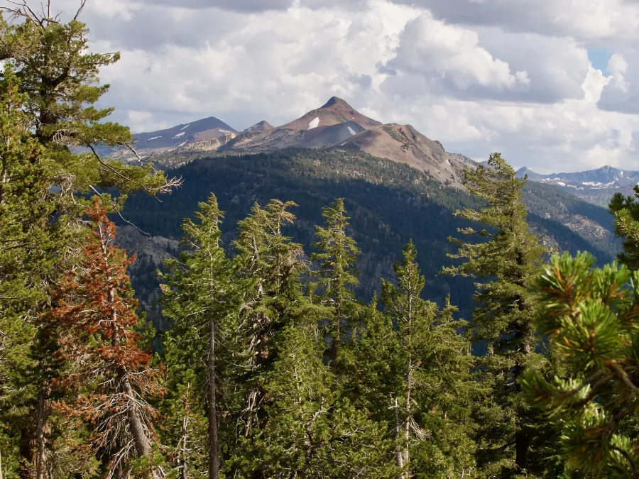 Stanislaus Peak and Sonora Peak