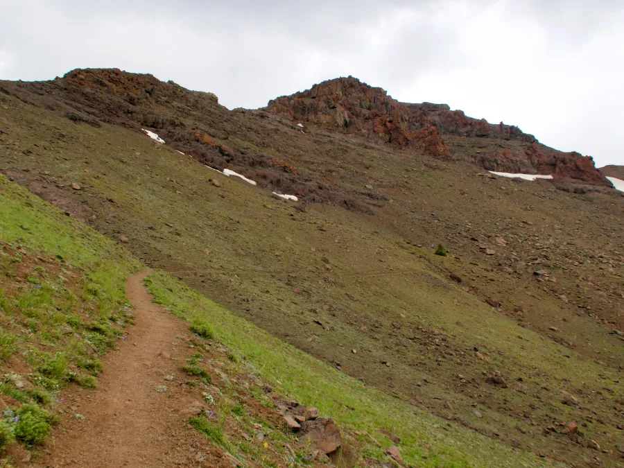A barren section of trail