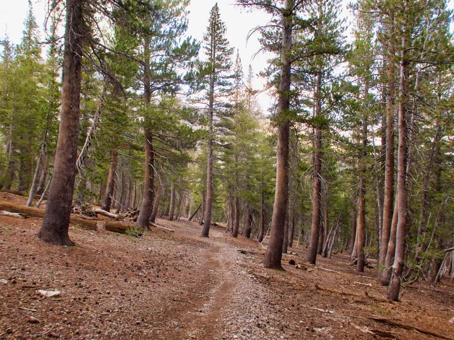 Nearing Kennedy Canyon Creek
