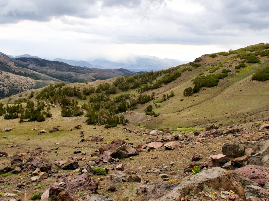 Rain appear over a distant ridge