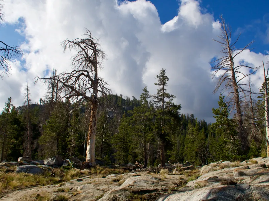 Building storm clouds