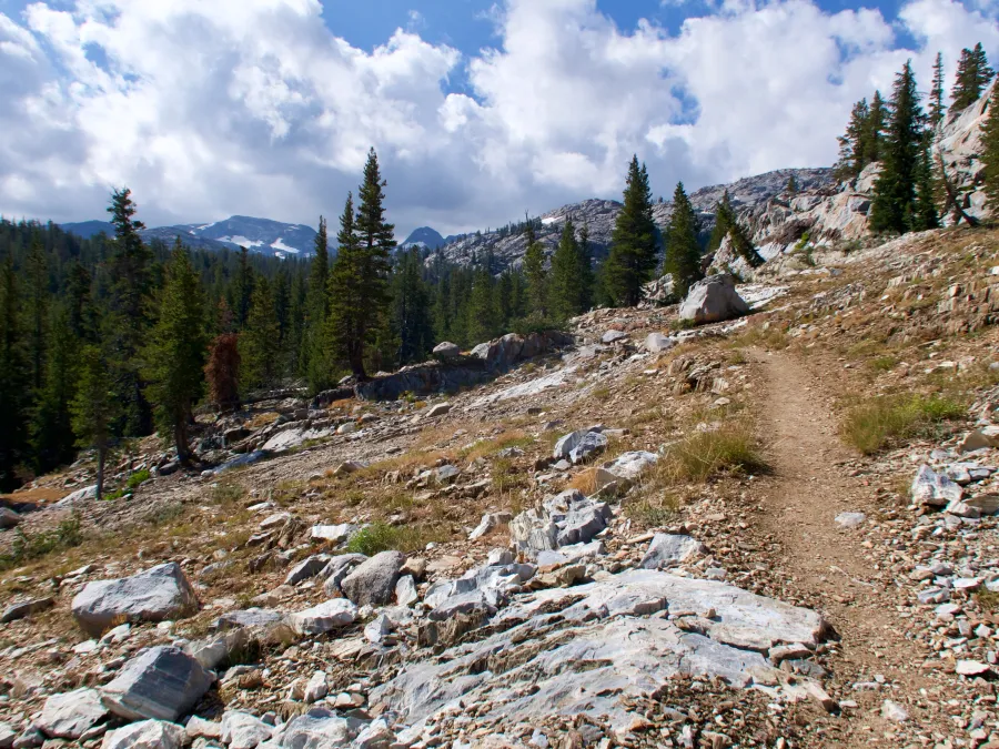 The PCT begins to climb toward Dorothy Lake Pass