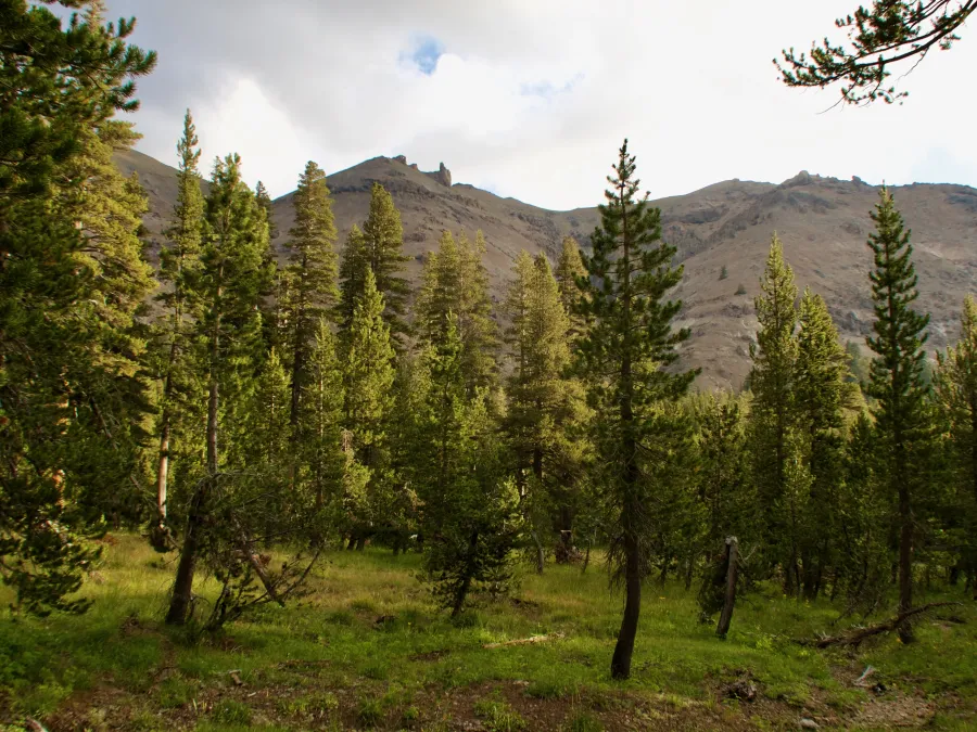 Morning in Kennedy Creek Canyon