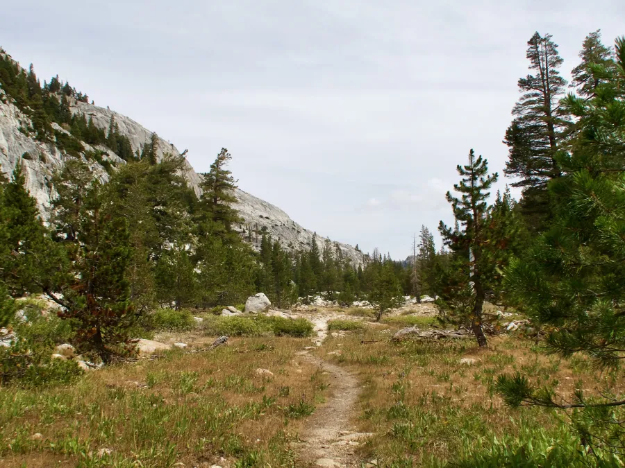 Flat trail in Kerrick Canyon